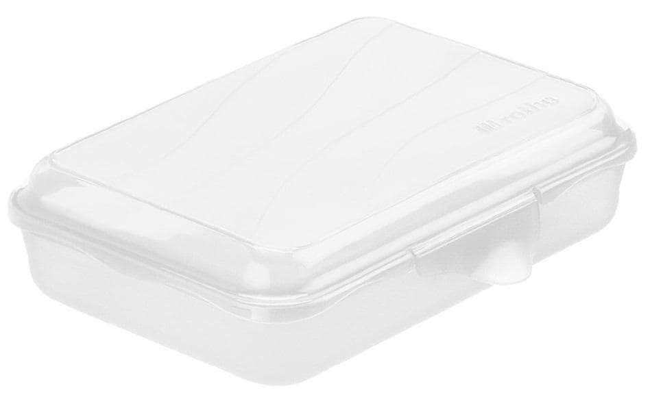 Rotho Funbox 0.45 l flach FUN transparent 16 x 11 x 4