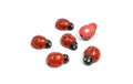 Trendform Magnete Marienkäfer 6er Set rot 6er Set, rot