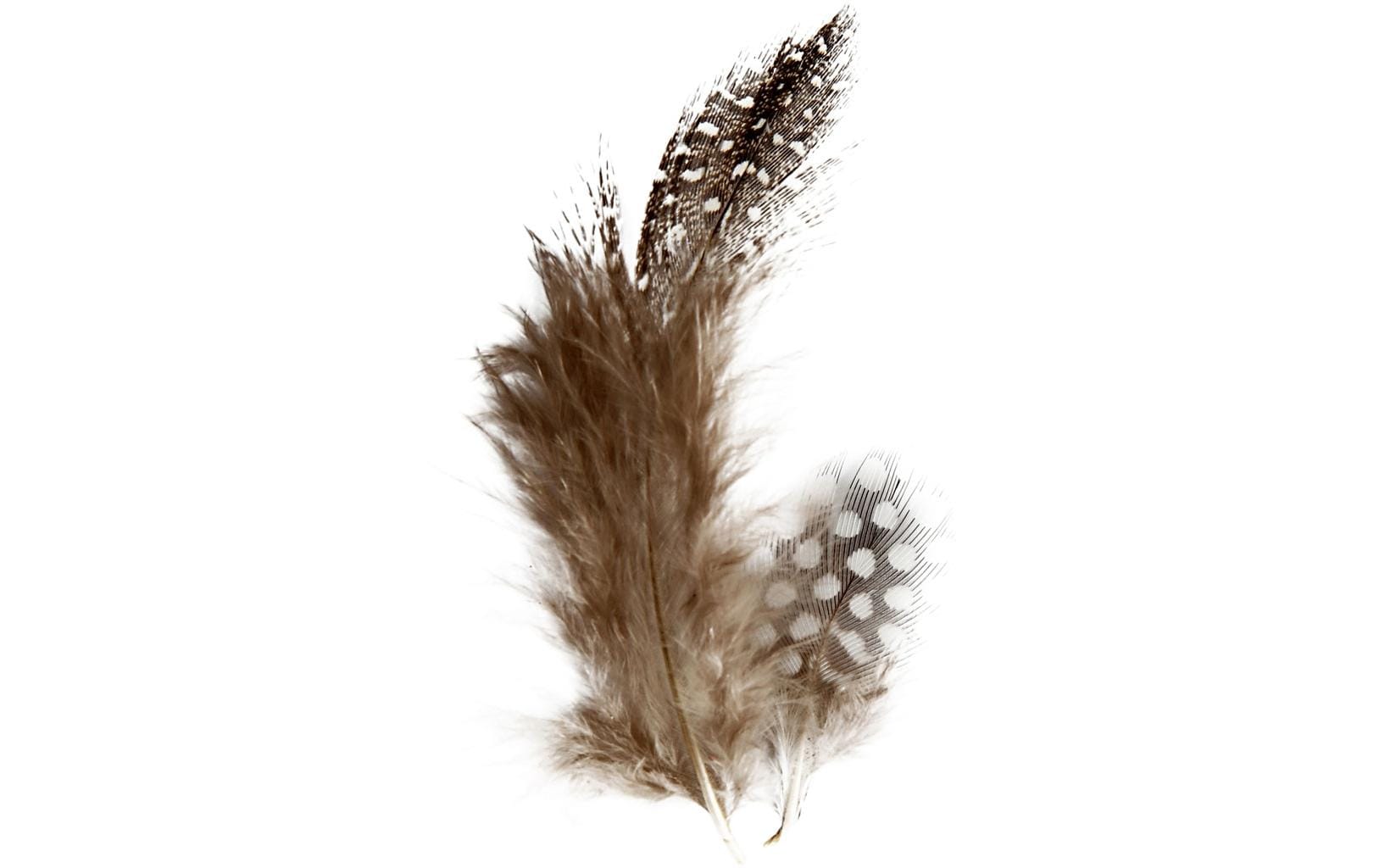 Creativ Company Perlhuhn Federn Sortiment braun, ca. 100 Stück