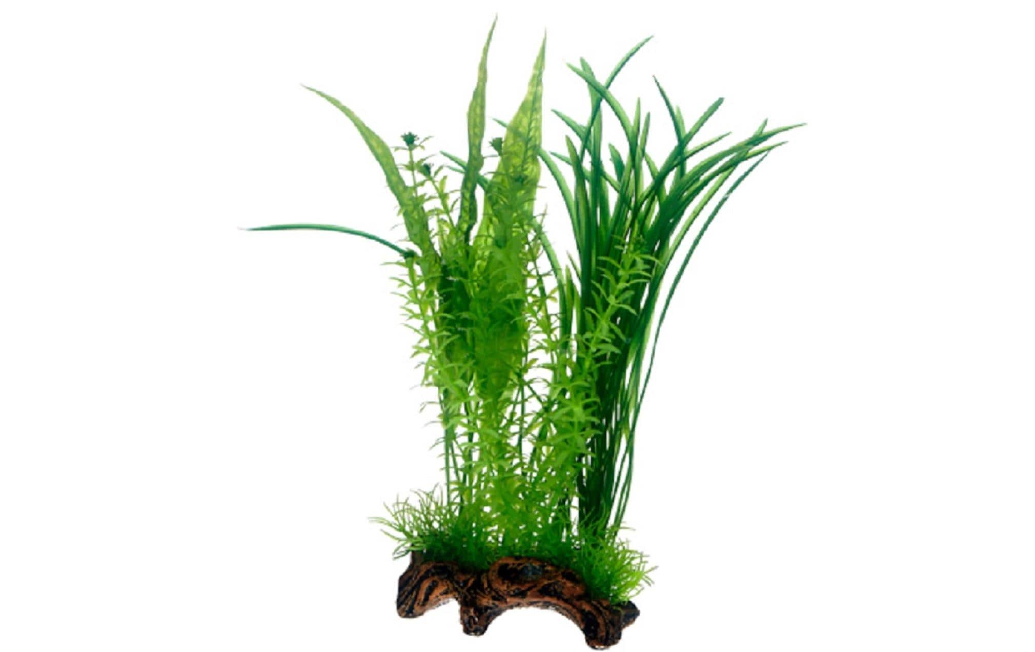 Hobby Aqua Flora Root 1 L 30 cm