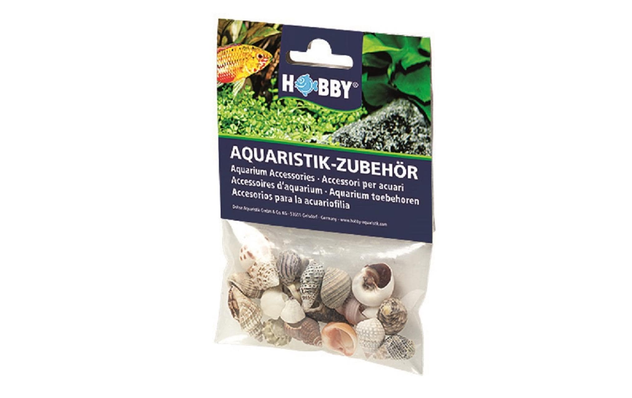 Hobby Aqua Sea Shells S 20Stk.