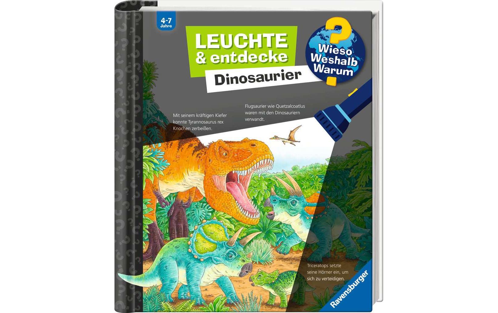 WWW Leuchte und entdecke: Dinosaurier ab 4 Jahren