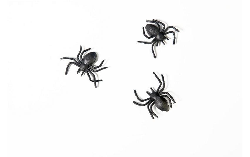 Partydeco Plastikspinnen schwarz