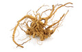 Amazonas Finger-Wurzel S 20-30 cm