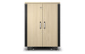 APC Netzwerkschrank 17HE Soundproof NetShelter CX AR4017IA