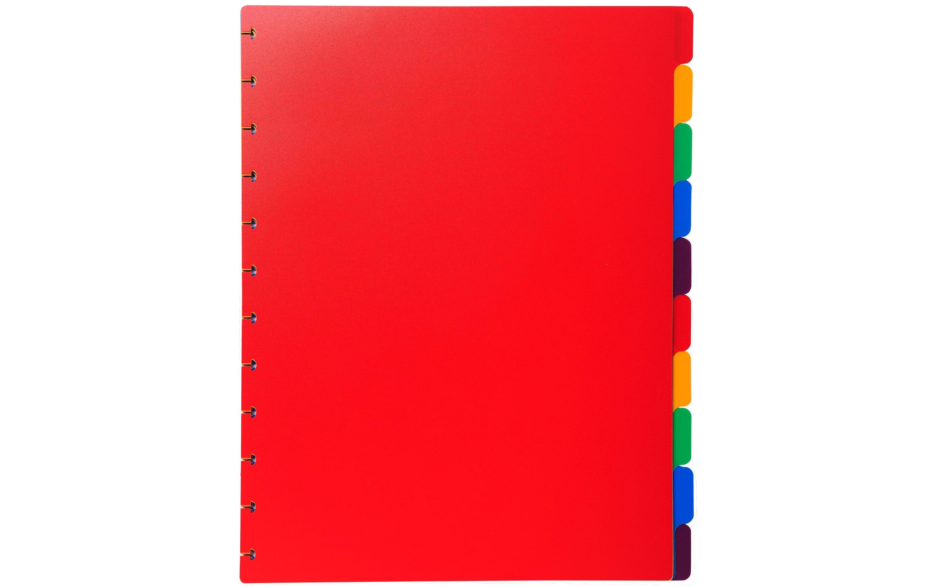 Exacompta Register für Sichtbuch A4 10 Taben, Polypropylen