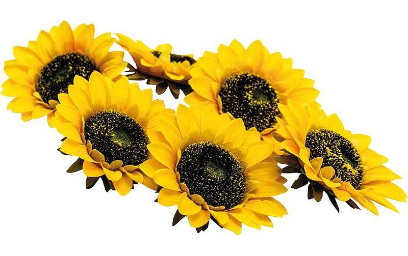 Dekomat Sonneblumenblüten, 6 Stück Kunstseide, D: 14 cm