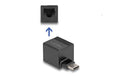 Delock USB Type-C Adapter zu Gigabit LAN mini