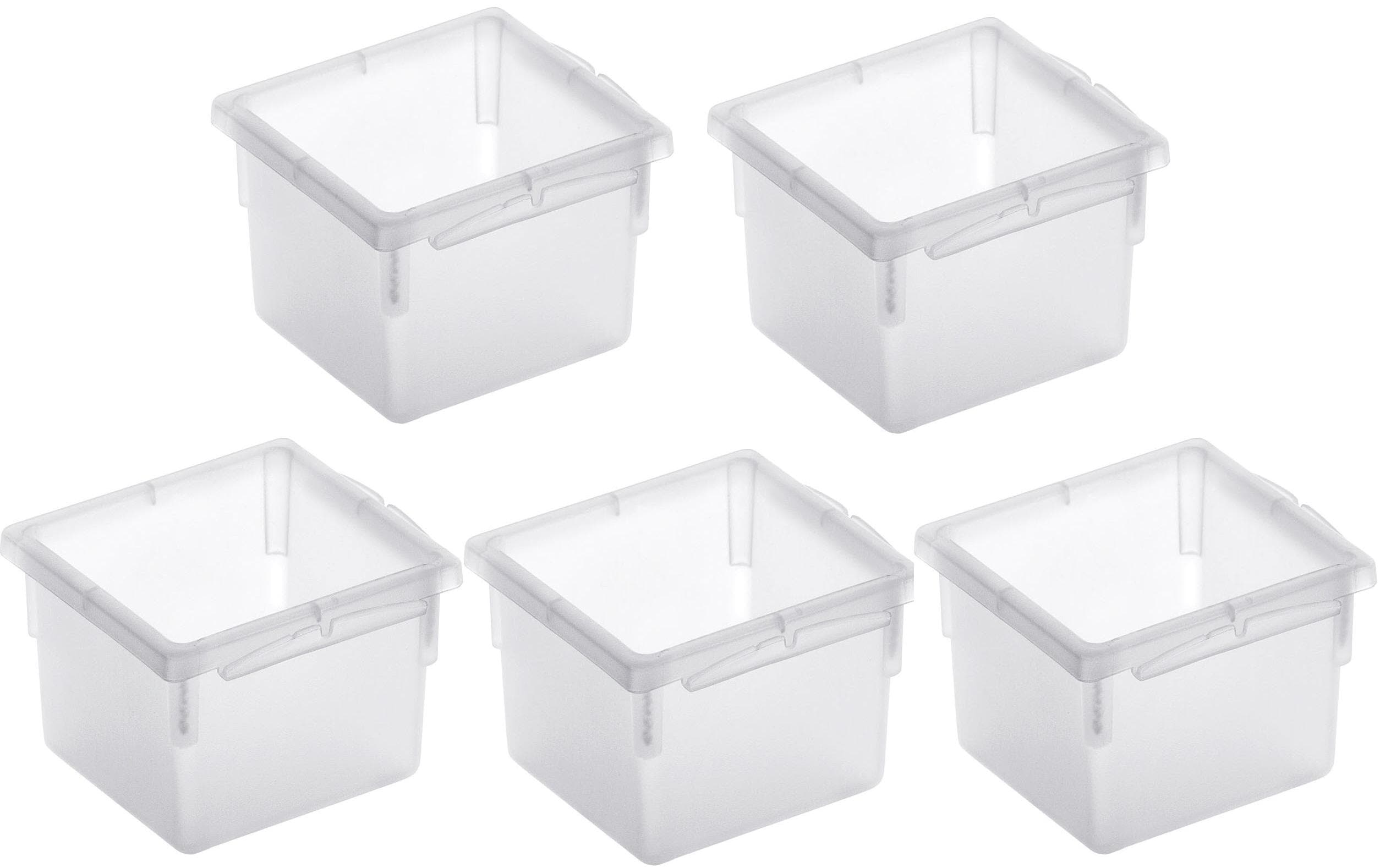Rotho Ordnungssystem 8x8cm Basic KIT 5 Stück, transparent, 80x80x50 mm