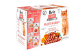 Brit Care Cat Flavour box Fillets Sauce 12x85g