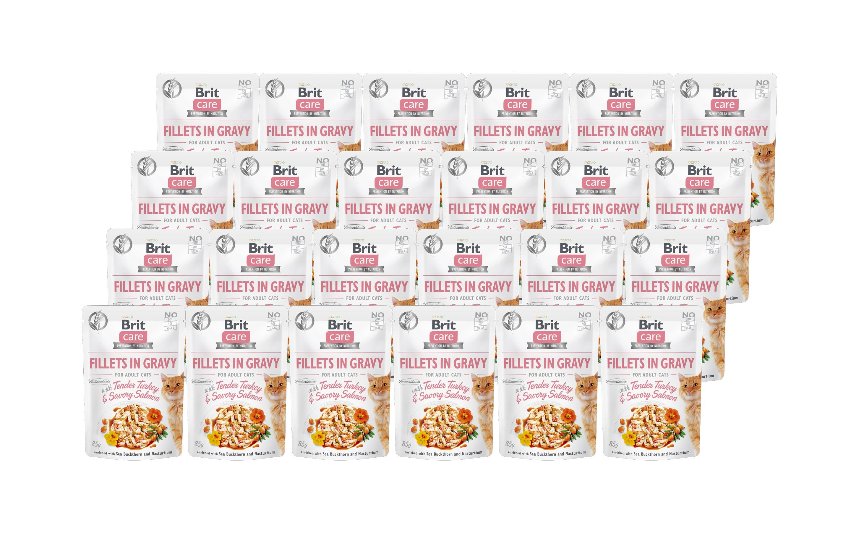Brit Care Cat Fillets Sauce Trut&Lachs Kit 24x85g