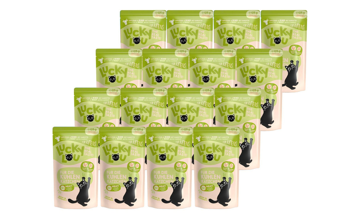 Lucky Lou Lifestage Kitten Geflügel&Rind 16x125g Kit