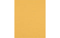 EXPERT C470 Schleifpapier. 230 x 280mm. G 100