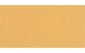 EXPERT C470 Schleifpapier. 115 x 230mm. G 100. 10-tlg.
