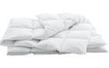 Swiss Dream Cassette Medium Basic 90 200x210 cm FG:870 gr. Kassetten-Daunenduvet