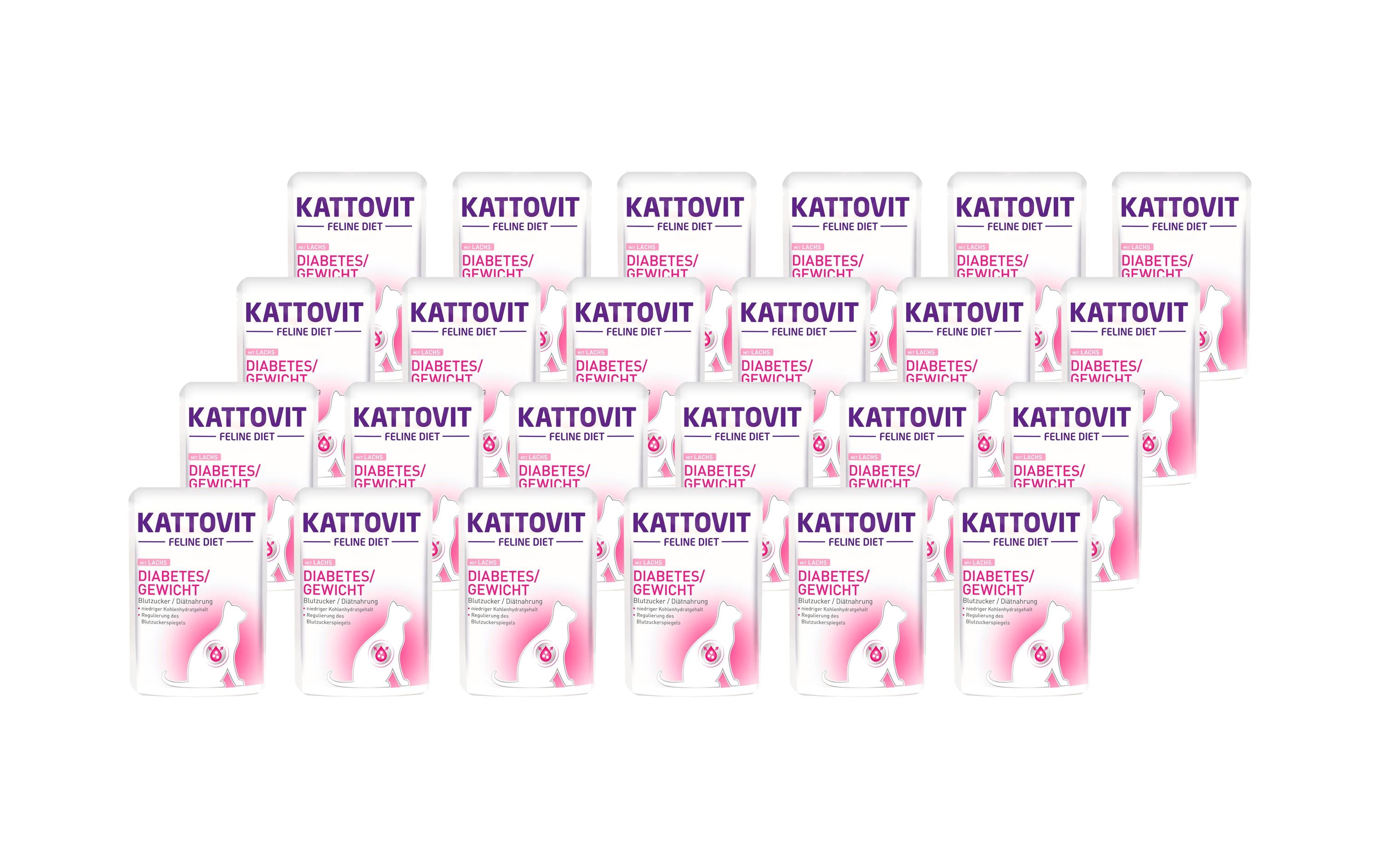 Kattovit Diabetes Lachs&Reis 24x85g Kit