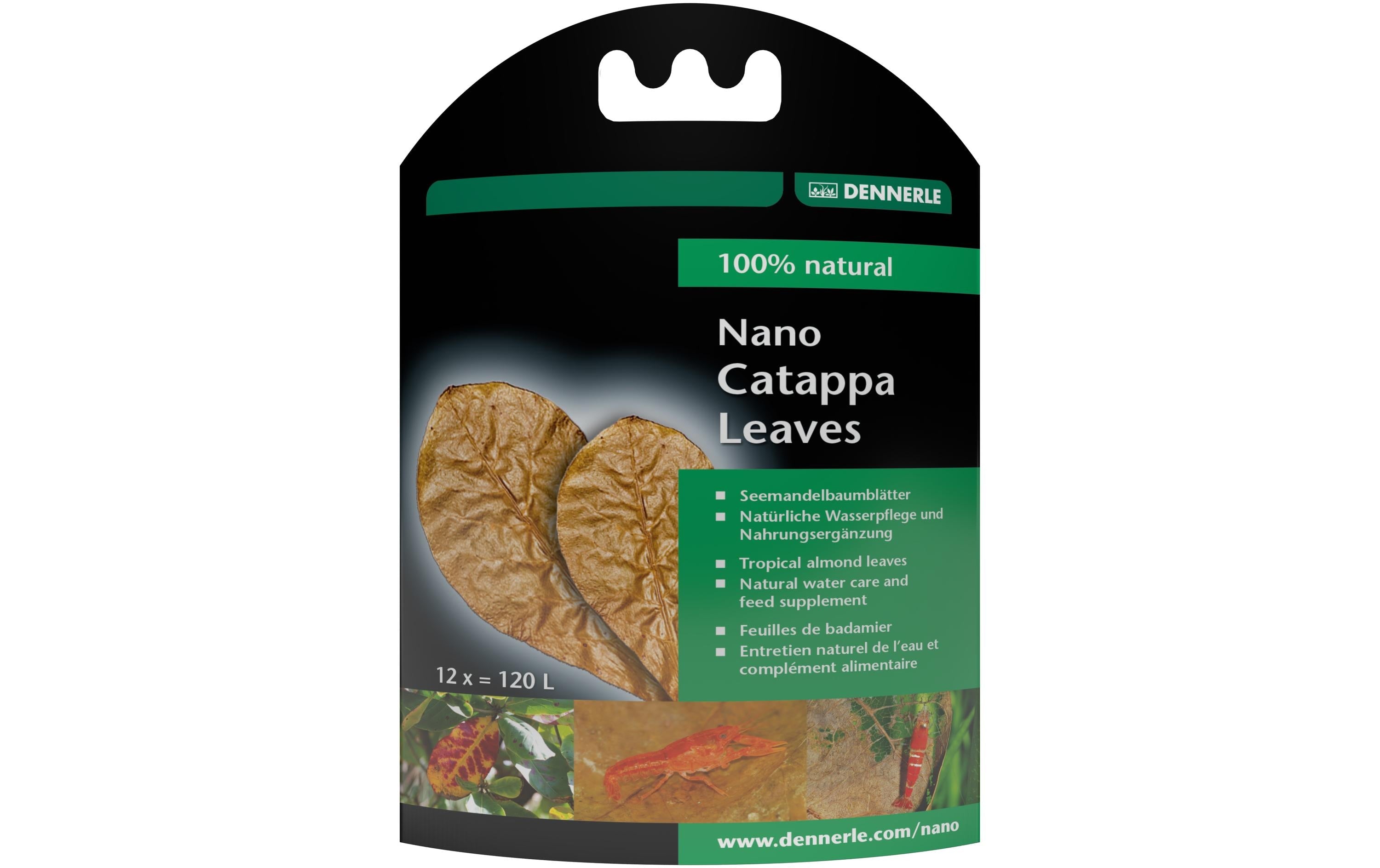 Dennerle Nano Catappa Leaves