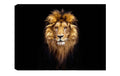 Wallxpert Bild Lion Baumwolle/Holz, 50x70cm