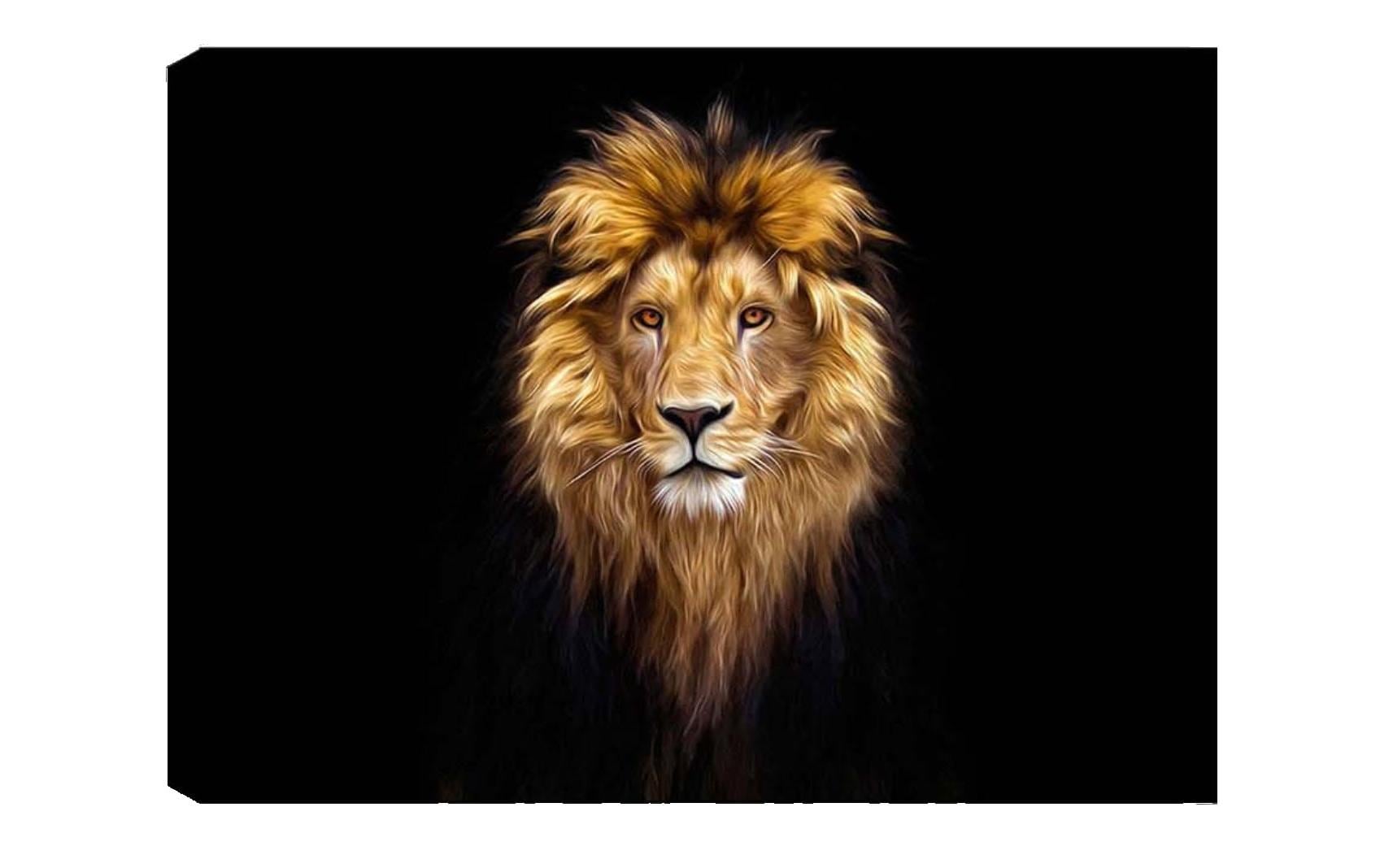 Wallxpert Bild Lion Baumwolle/Holz, 50x70cm