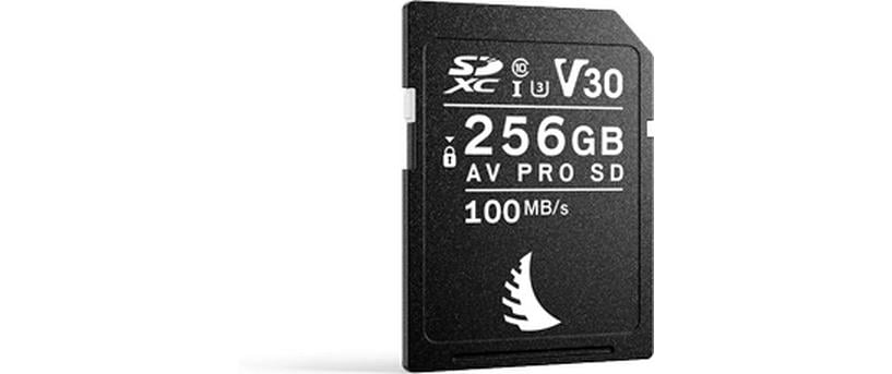Angelbird AV PRO SD V30 256 GB