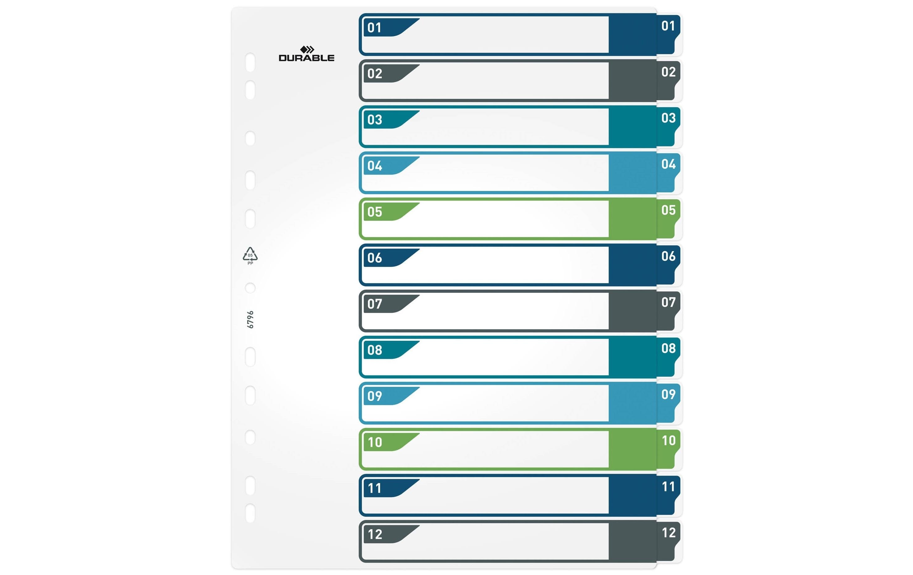 Durable Register PP 1-12, 5-farbig A4, mit bedruckbarem Deckblatt und Taben