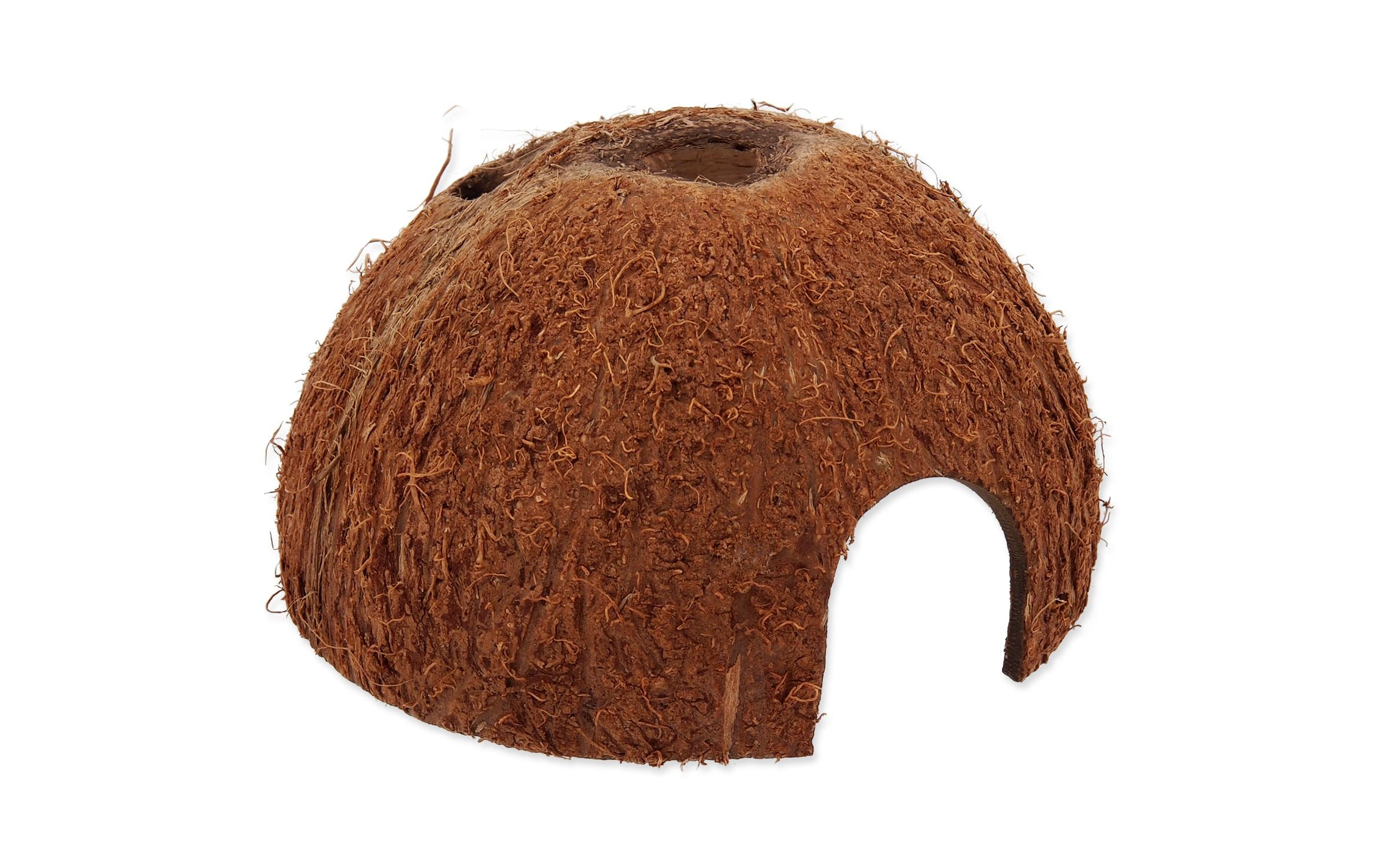 Repti Planet Coco Schale L