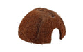 Repti Planet Coco Schale M