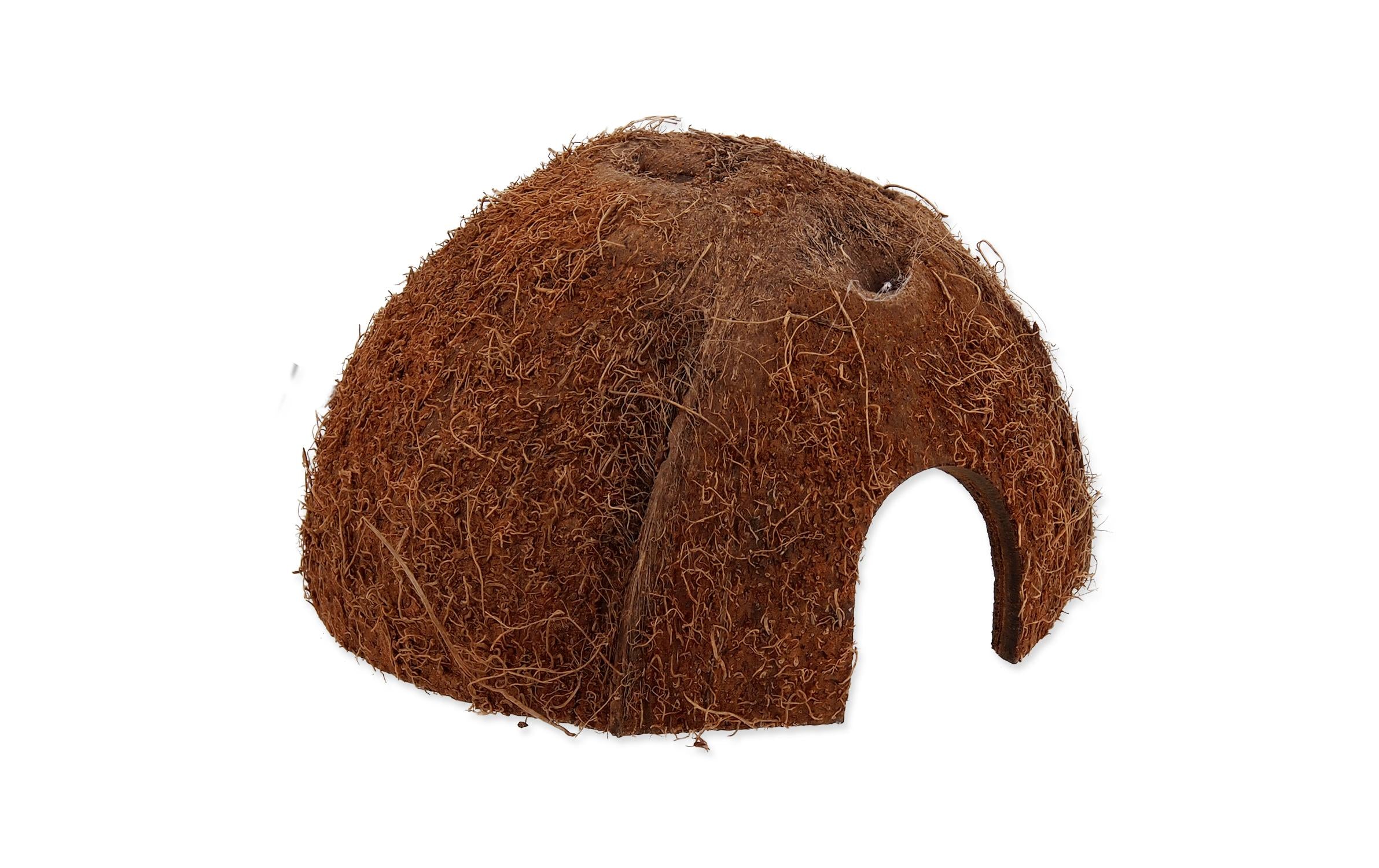 Repti Planet Coco Schale M