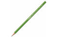 Stabilo Bleistift Greengraph FSC 12 Stück HB - mittel