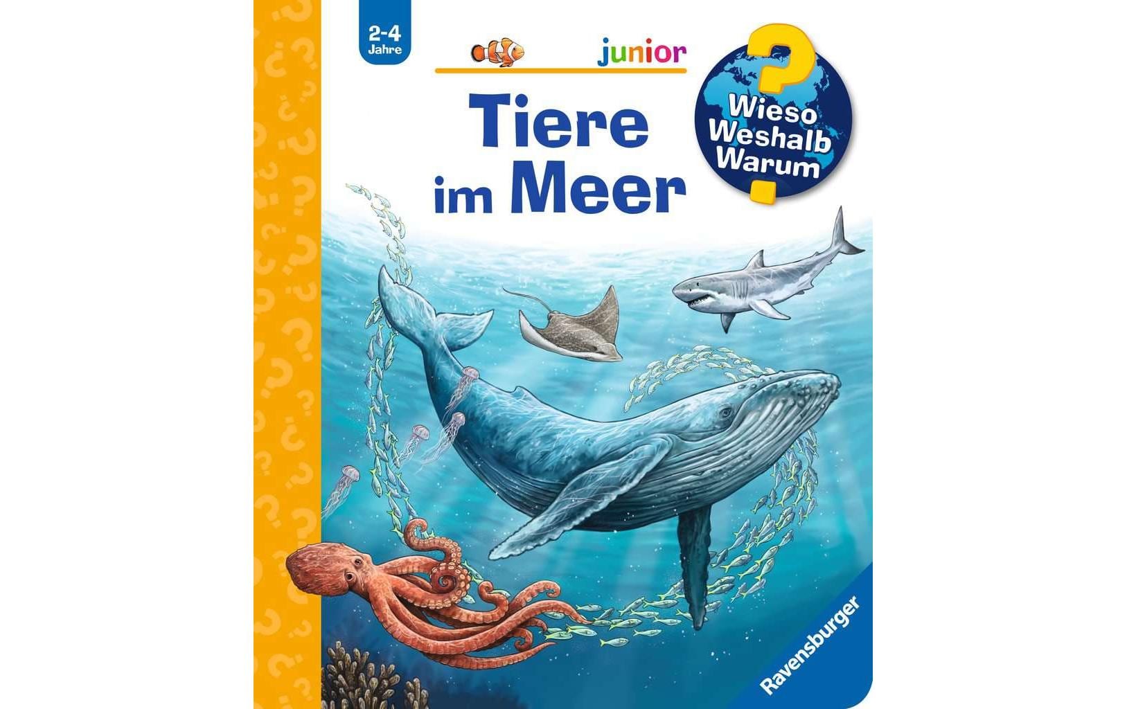 WWW:  Tiere im Meer 2-4 Jahre