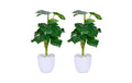 relaxdays Kunstpflanze Monstera 2er Set Grösse: ca. 33 x 20 cm, 2 Stück