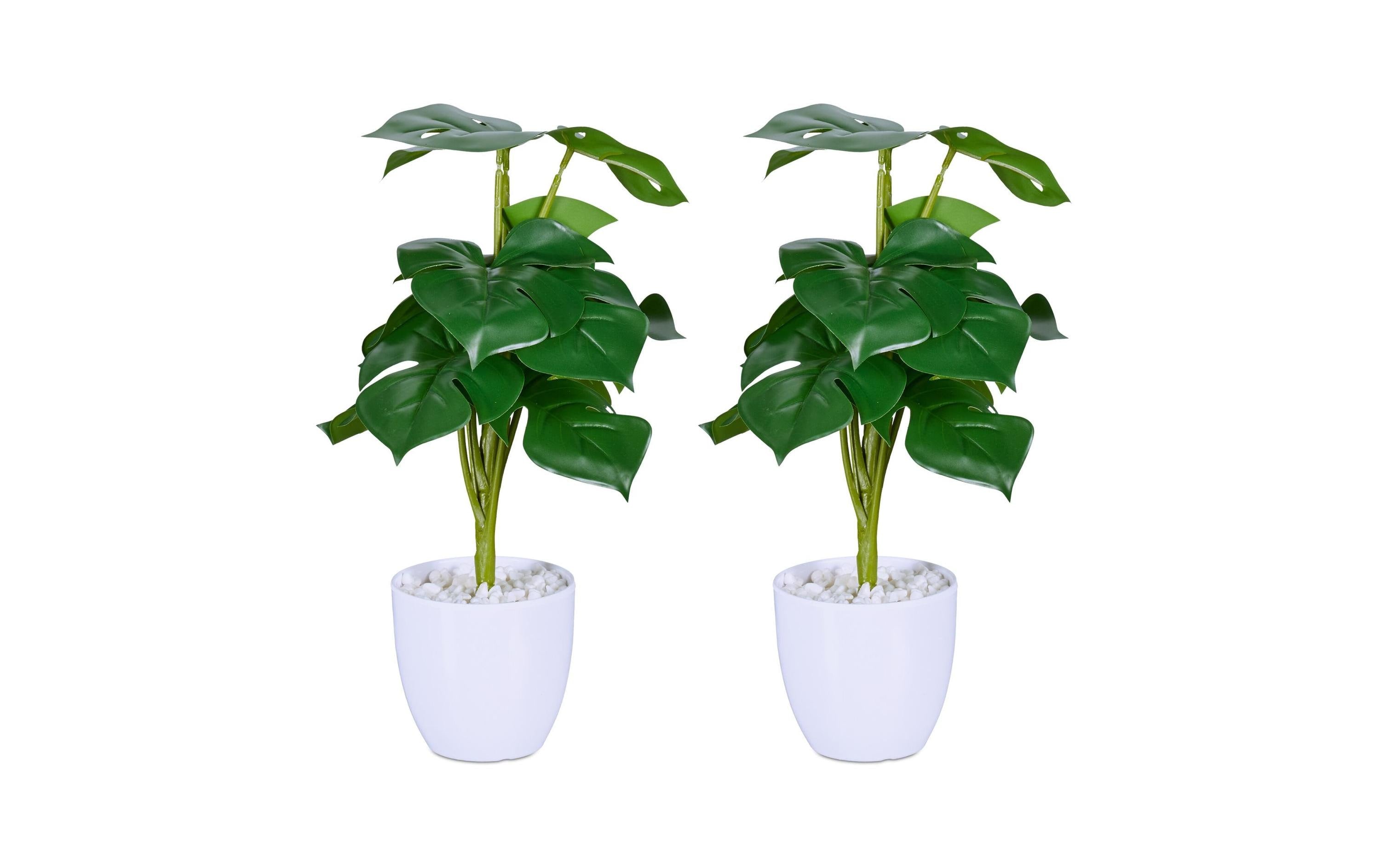 relaxdays Kunstpflanze Monstera 2er Set Grösse: ca. 33 x 20 cm, 2 Stück