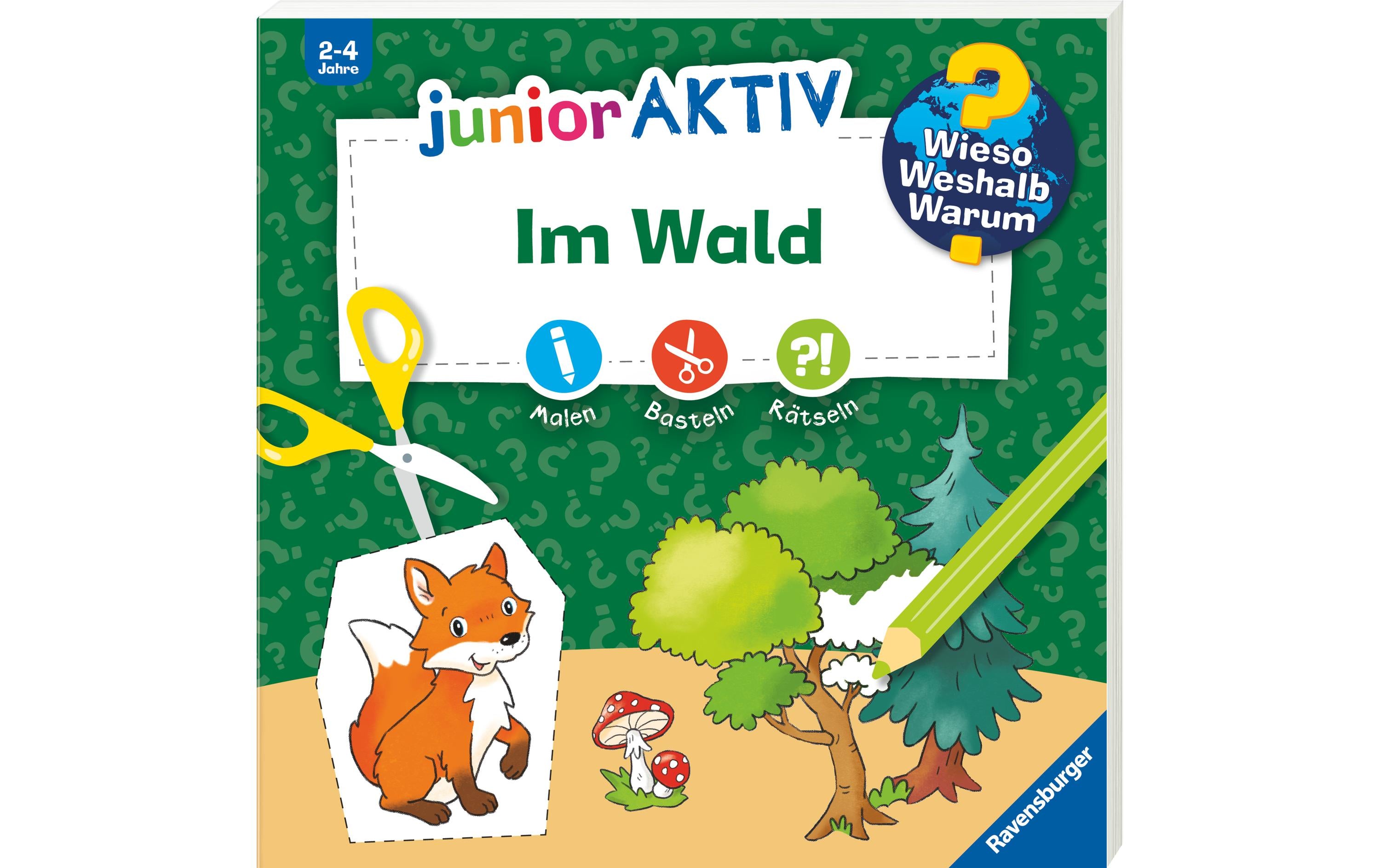 WWW: Junior AKTIV: Im Wald 2-4 Jahre