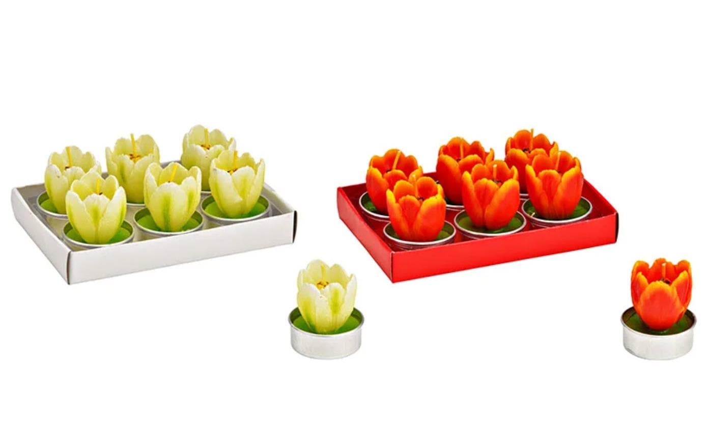 G. Wurm Teelichter Tulpe 6er Set, 4x7x4cm, Farbe assortiert