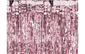 Partydeco Vorhang 90 x 250 cm, roségold