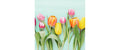 B+C Servietten Rainbow Tulips mint 33x33 cm, 20 Stück