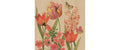 B+C Servietten Charlotte 33x33 cm, 20 Stück