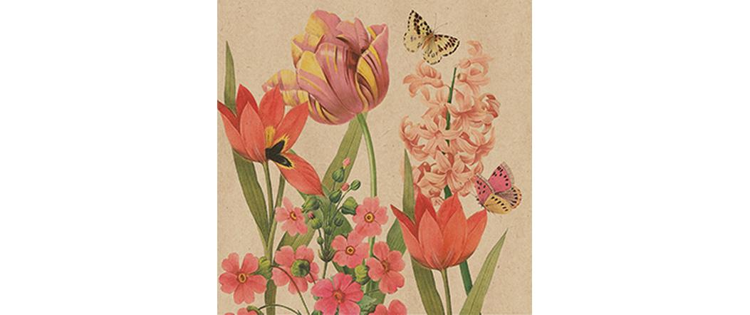 B+C Servietten Charlotte 33x33 cm, 20 Stück