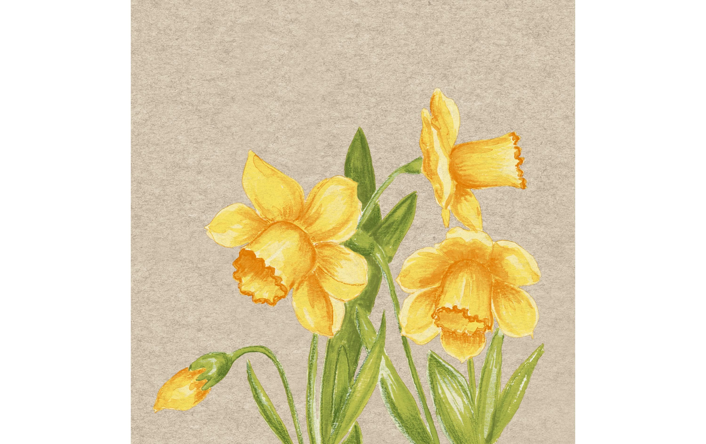 Paper + Design Servietten Daffodil 33x33 cm, 25 Stück