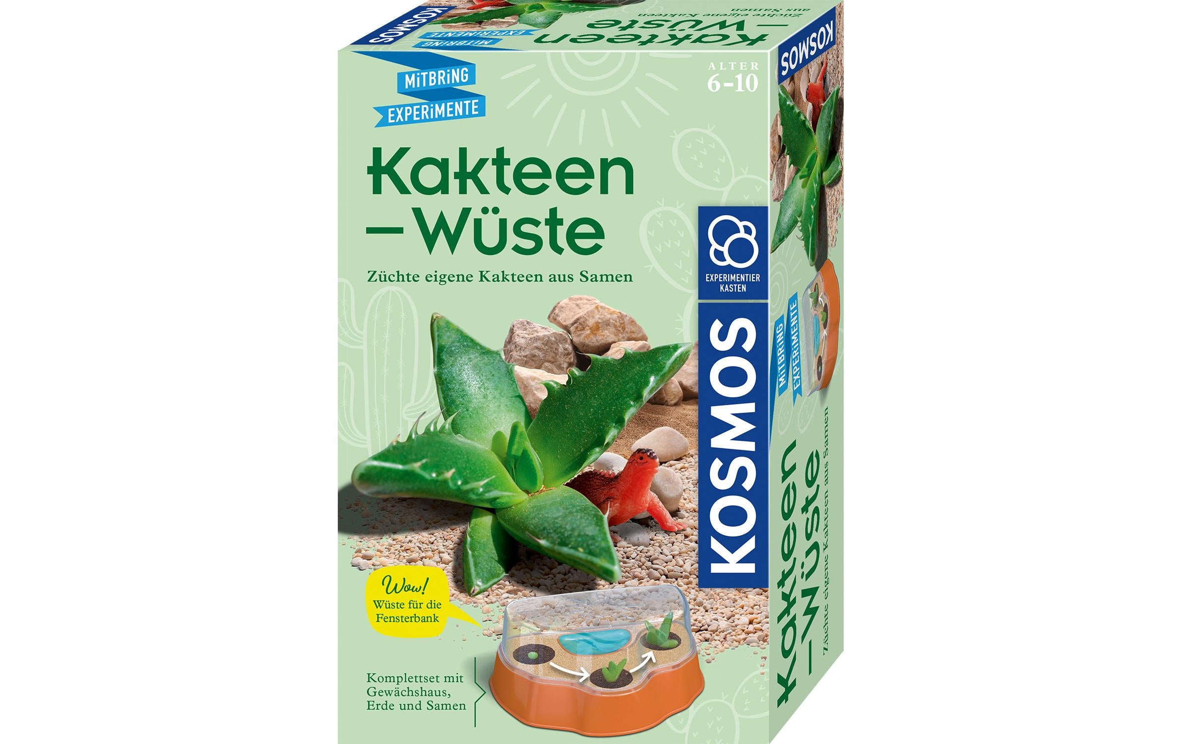 Kakteen-Wüste