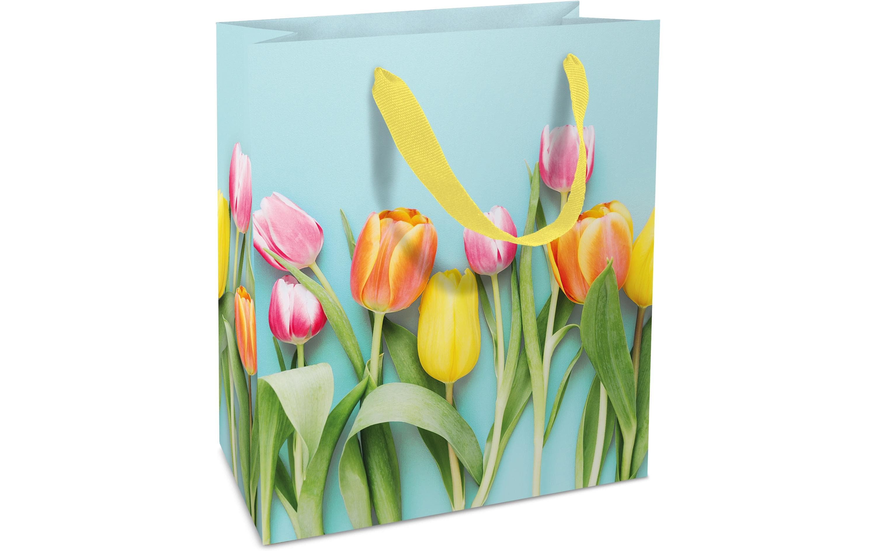 B+C Geschenktasche Ostern 18x21x8cm, Tulpen