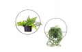 Wallxpert Blumenampel Metall, 2 Stück