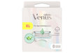Gillette Venus für den Intimbereich Systemklingen 8er
