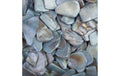 Ambiance Glänzende Muschelplatten Hellblau in Flasche 250 ml