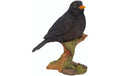 Vivid Arts Amsel Polyresin, 16 cm