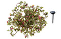 COCON Blumenlichterkette 10m, warm weiss