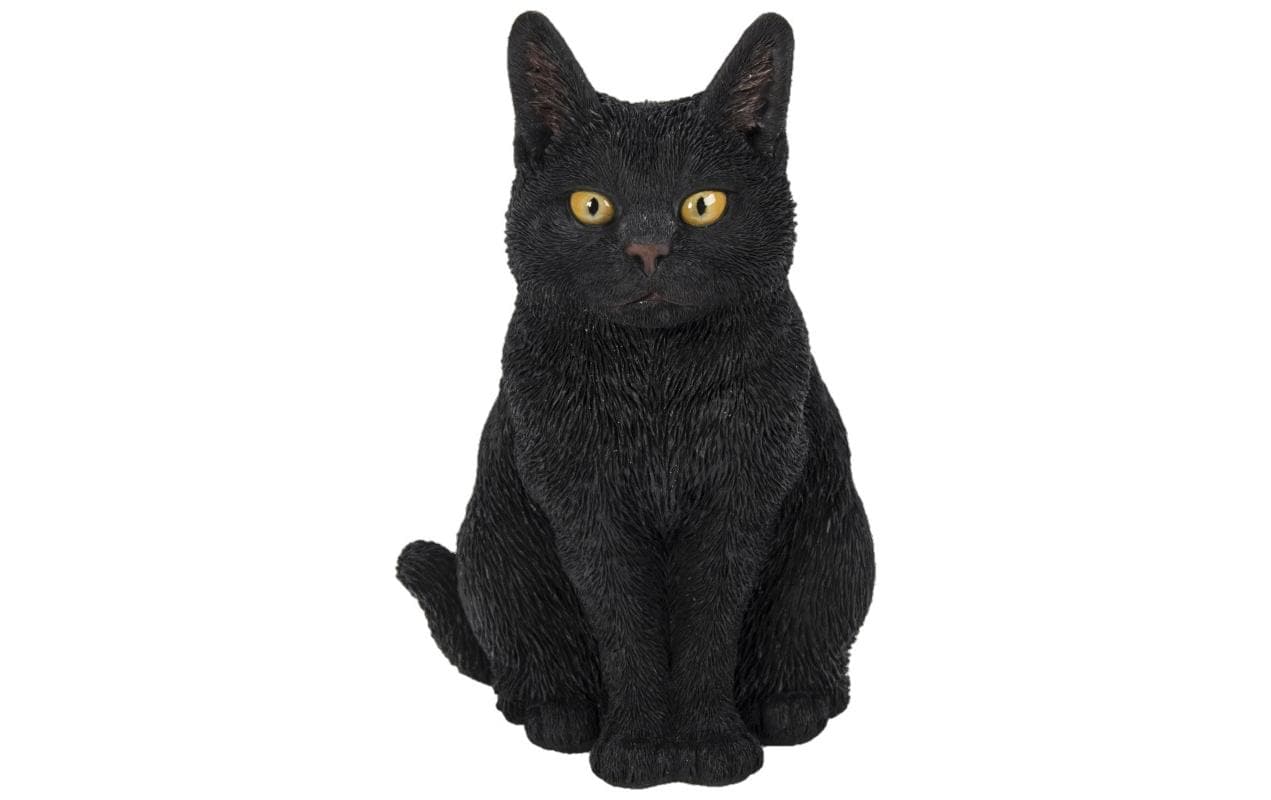 Vivid Arts Katze, Schwarz Polyresin, 20 cm