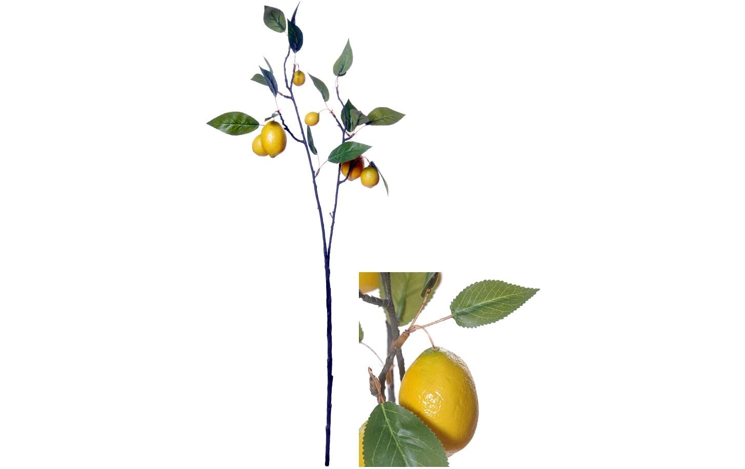 Chalet Kunstblume Zitrone 79 cm 1 Stück, 79 cm, Gelb
