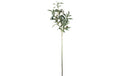 Chalet Kunstblume Olivenzweig 79 cm 1 Stück, 73 x 30 cm, Grün