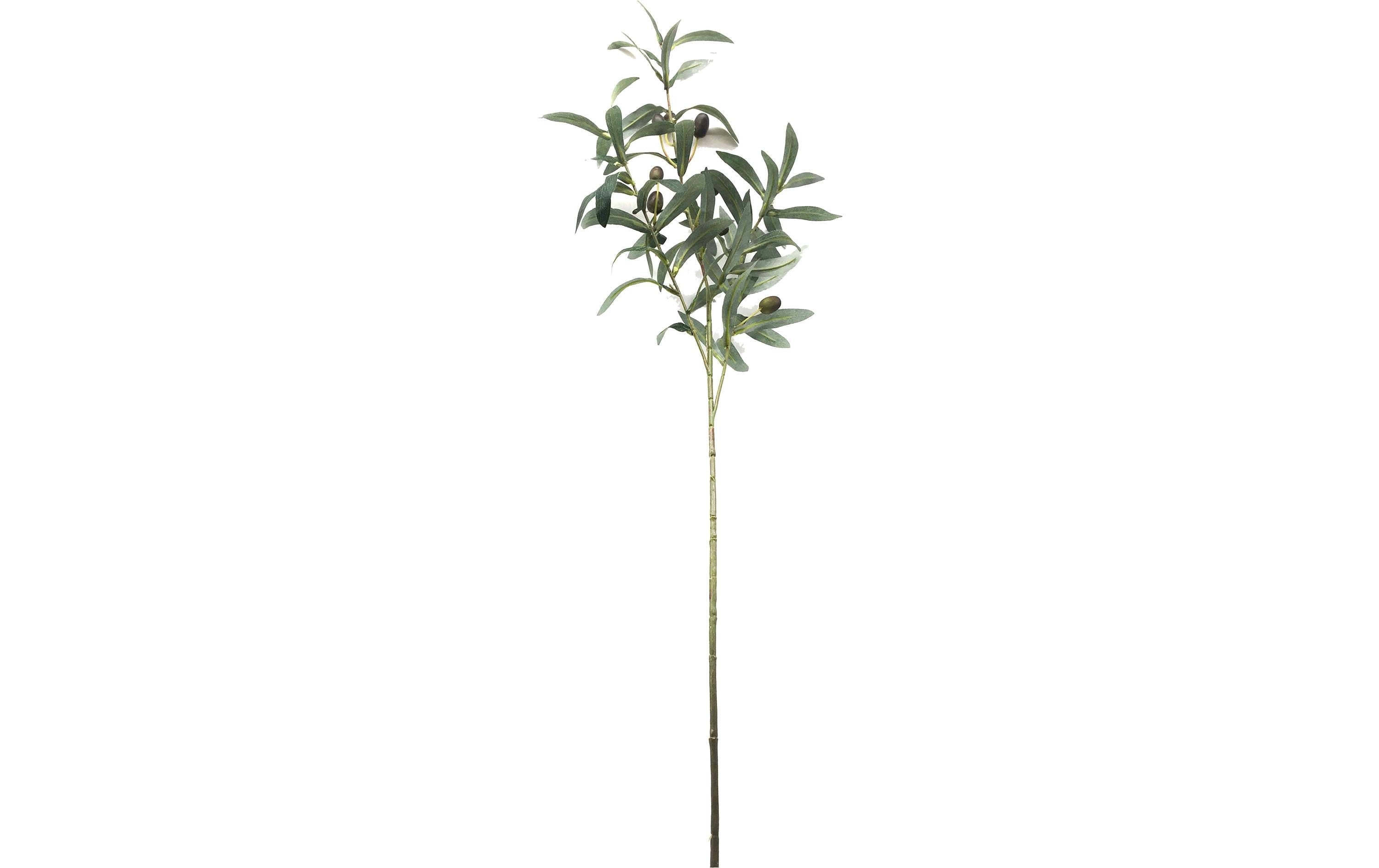Chalet Kunstblume Olivenzweig 79 cm 1 Stück, 73 x 30 cm, Grün